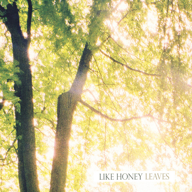Like Honey Photo