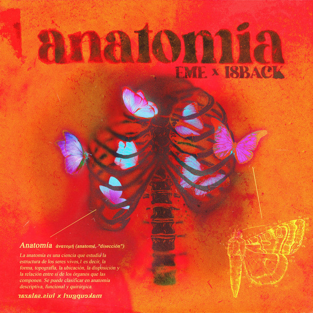 Anatomía cover art