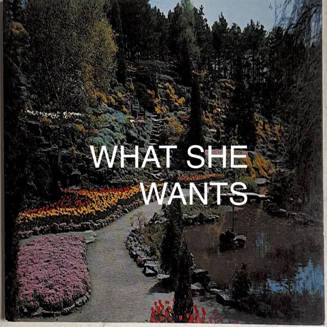 What She Wants artwork