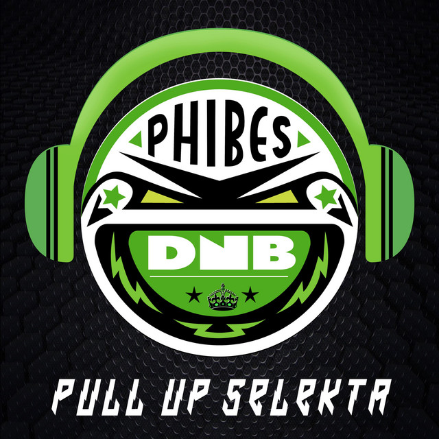 Pull Up Selekta cover art