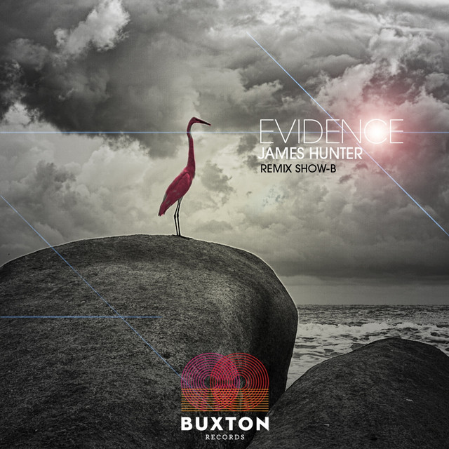 Evidence cover art