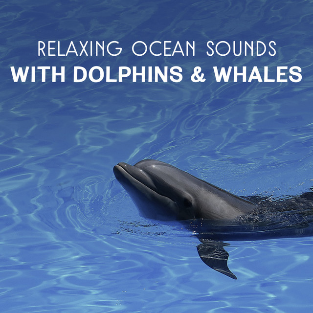 Healing Songs Of Dolphins And Whales