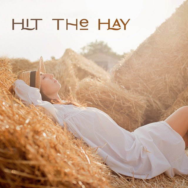 Hit The Hay Album By Sleeping Music Zone Easy Sleep Music Deep Sleep Sanctuary Spotify