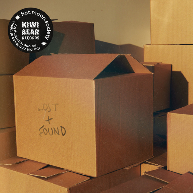 the lost and found of things no one is looking for cover art