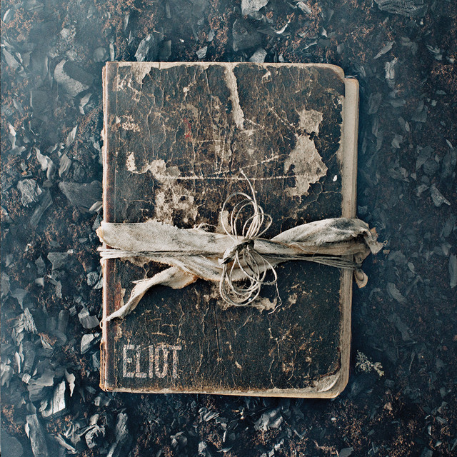 The Book of Eliot cover art