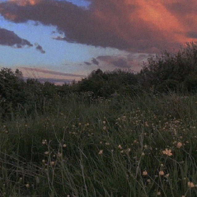 Jesus calvary cover it all