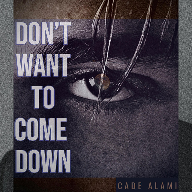 Don't Want to Come Down - Single by Cade Alami | Spotify