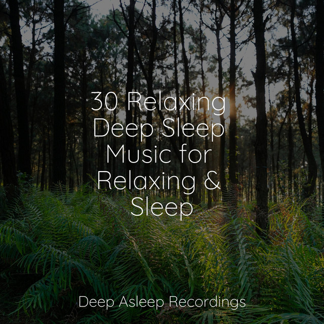 30 Relaxing Deep Sleep Music for Relaxing & Sleep - Album by Guided ...