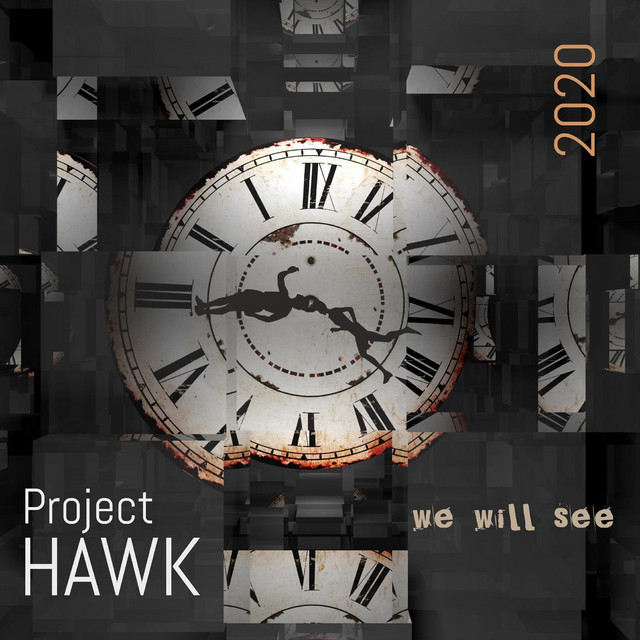 We Will See - Single by Project HAWK | Spotify