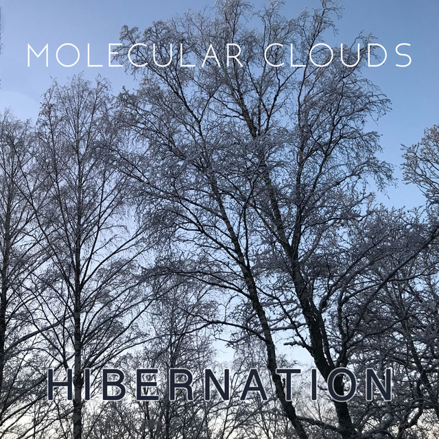 Hibernation cover art