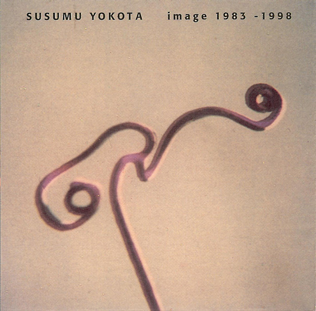 ススムヨコタ　Susumu yokota 1999 LP 美品 Image 1983 - 1998 - Album by Susumu Yokota | Spotify