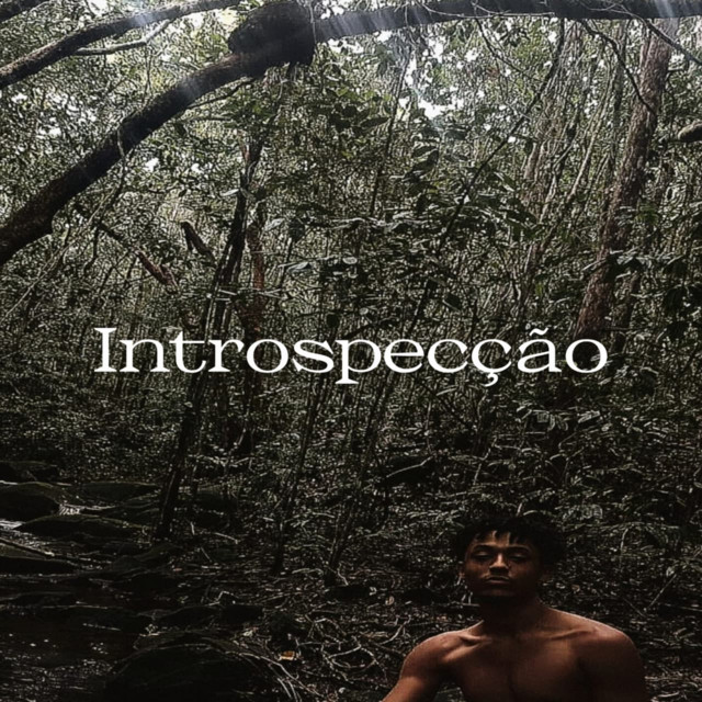 Introspecção cover art