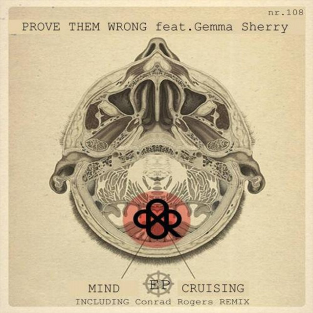 Mindcruising cover
