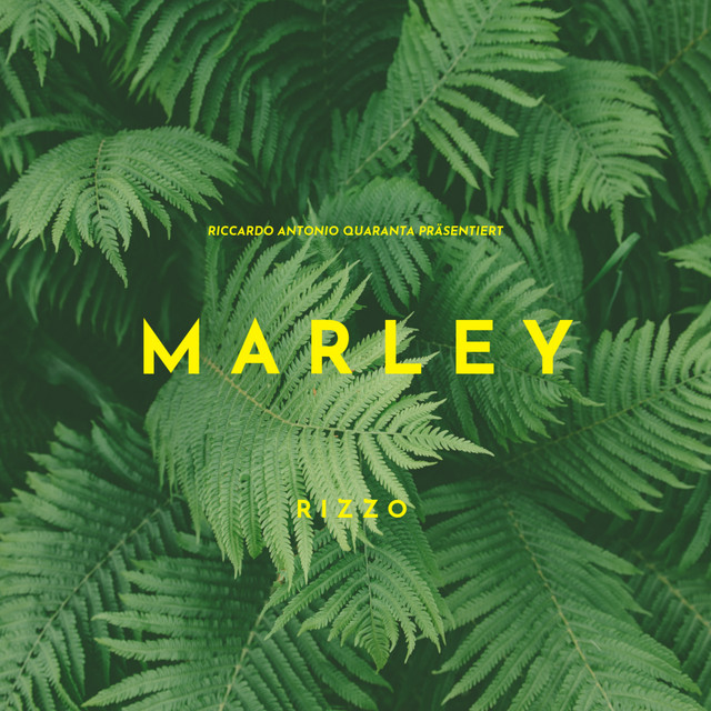 MARLEY - Single by RIZZO | Spotify