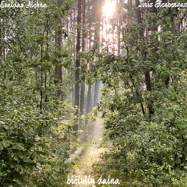 bičiulių daina cover art