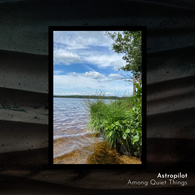 Among Quiet Things cover art