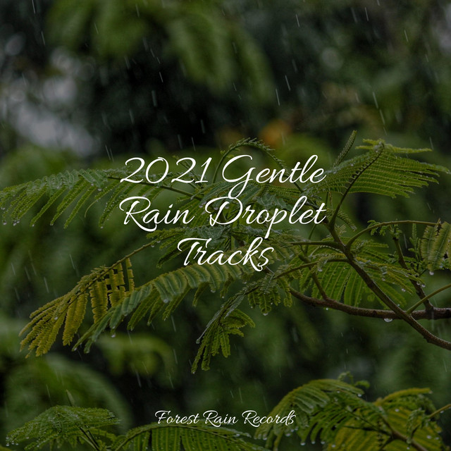 2021 Gentle Rain Droplet Tracks cover art