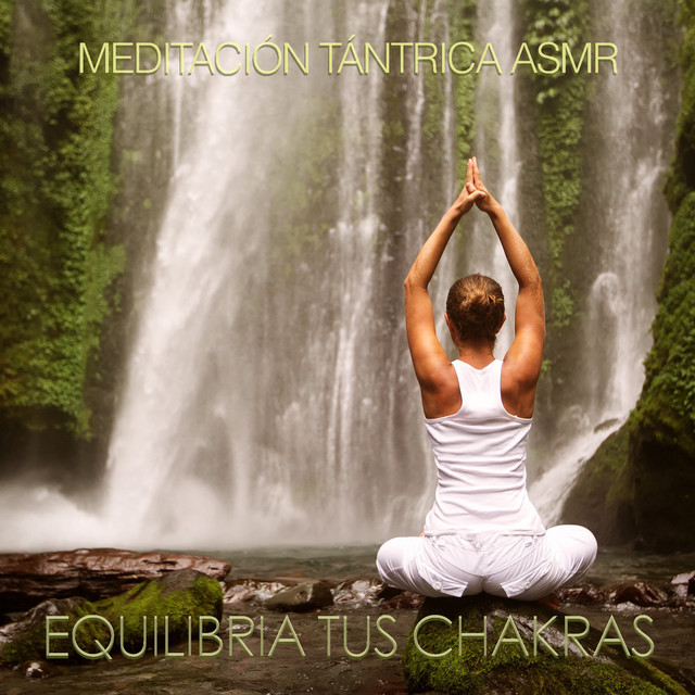 Equilibra Tus Chakras cover art