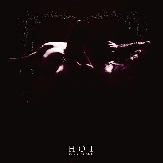 Обкладинка HXLLGANG — HOT HARDTEKK