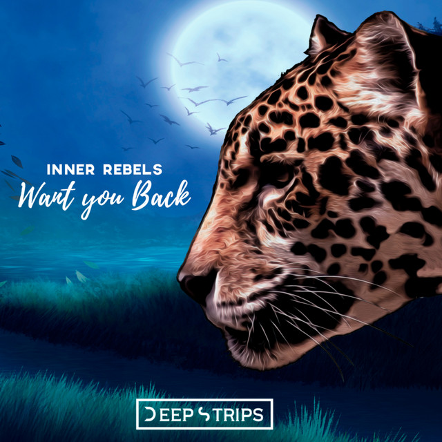 Want You Back - Vicent Ballester Remix cover art