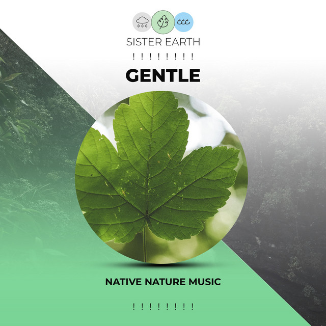 Gentle Native Nature Music ! ! ! ! ! ! ! ! - Album by Nature Sounds Nature