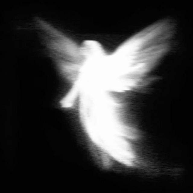 ANGEL$
