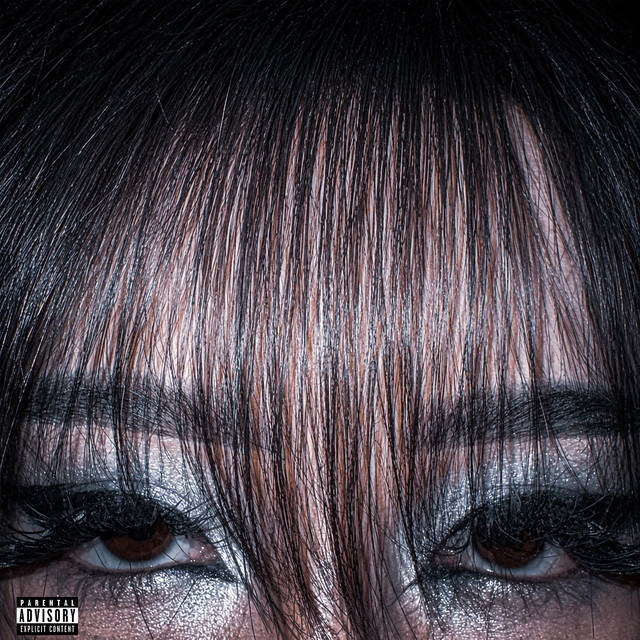 Shh cover