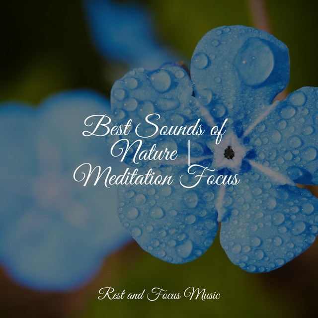 Best Sounds of Nature | Meditation Focus - Album by Lullabies for Deep ...
