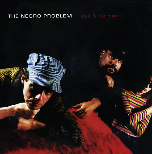 Joys And Concerns cover art