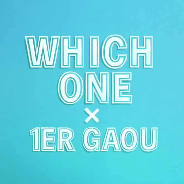 Which One x 1er Gaou (Radio edit) cover art