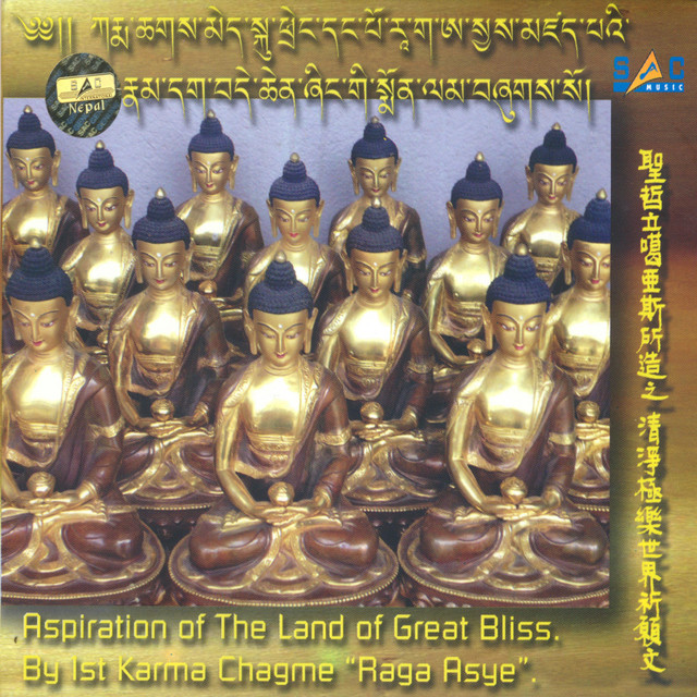 H. E Neydo Sangtrul Rinpoche