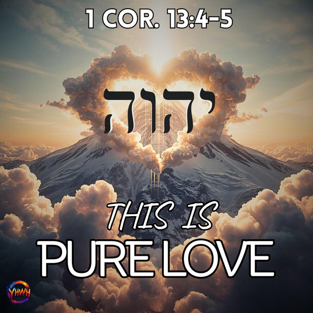 This is Pure Love cover art