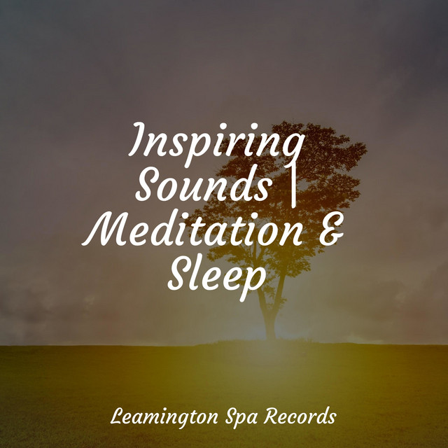 Inspiring Sounds | Meditation & Sleep - Album by Baby Sleep | Spotify