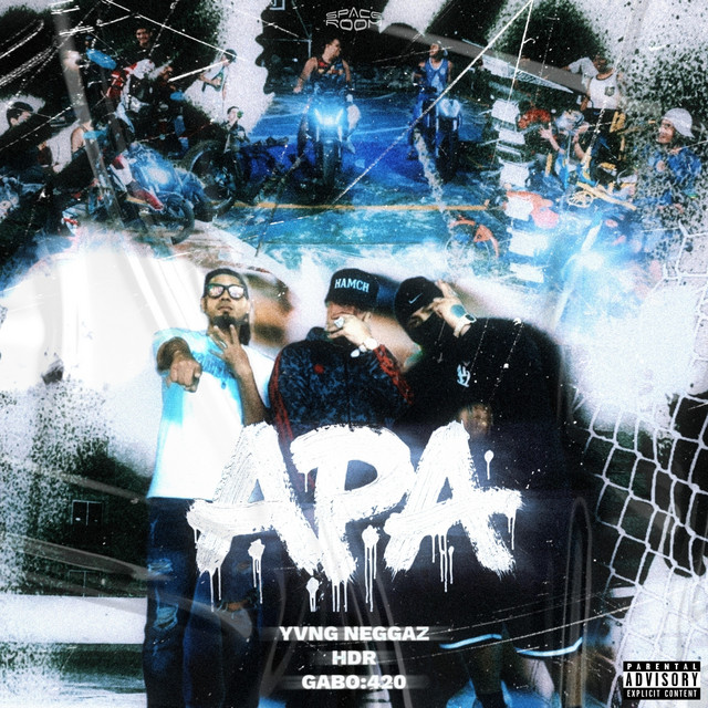 APA