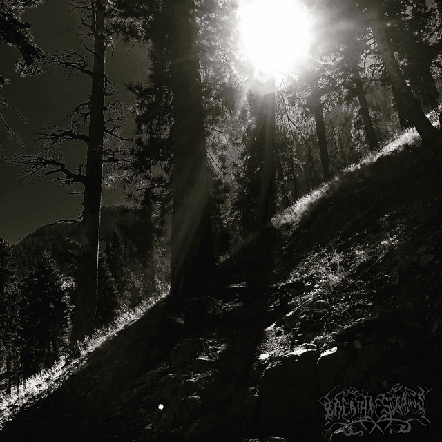 Breath of Sorrows Photo