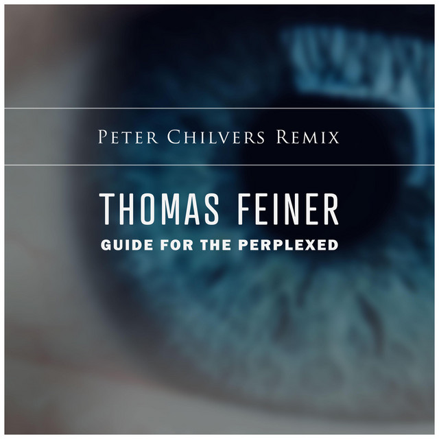 Guide for the Perplexed (Peter Chilvers remix) cover