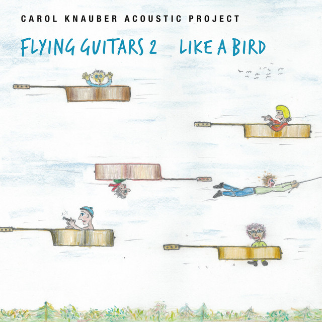 Flying Guitars 2 Like a Bird cover art
