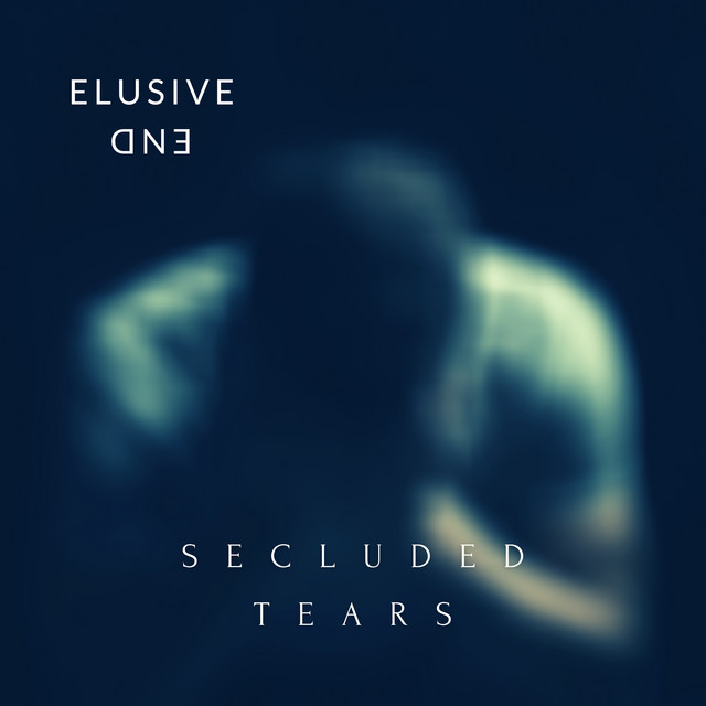 Secluded Tears - song and lyrics by Elusive End | Spotify