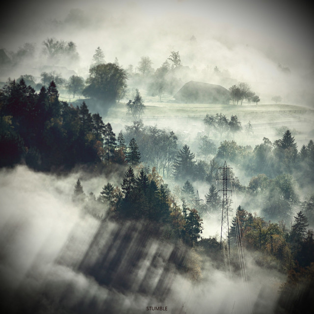 Stumble cover art