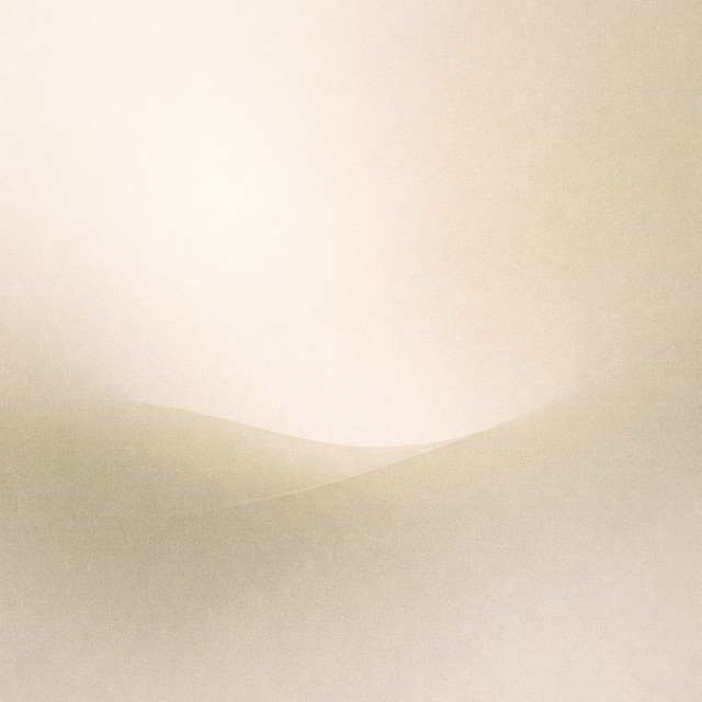 Where Stillness Begins to Move