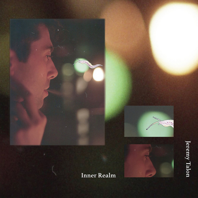 Inner Realm cover art