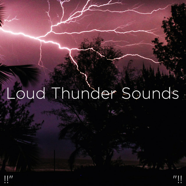 Rainforest Storm - song and lyrics by Thunderstorm Sound Bank, BodyHI ...