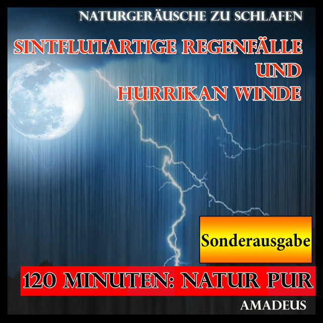 Naturgeräusche zu schlafen: sintflutartige Regenfälle und Hurrikan Winde: Sonderausgabe cover art