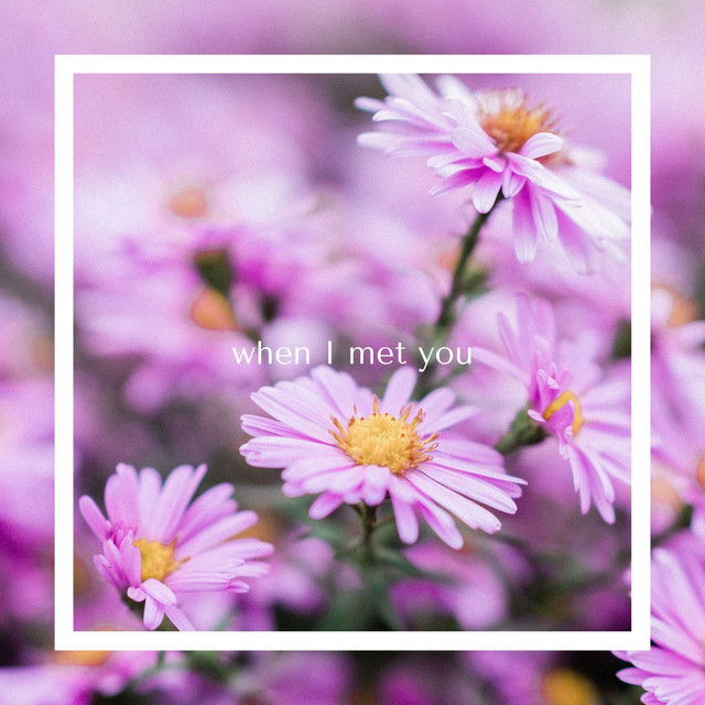 When I Met You
