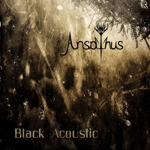 Black Acoustic cover art