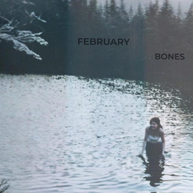 February Bones cover art