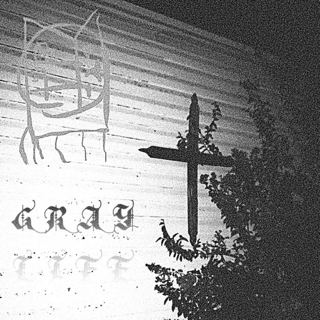 GRAY LIFE cover art