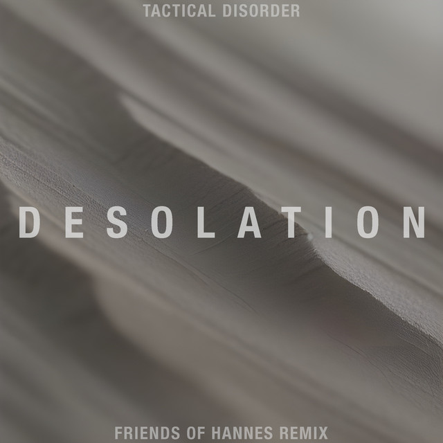 Desolation (Friends of Hannes Remix) cover