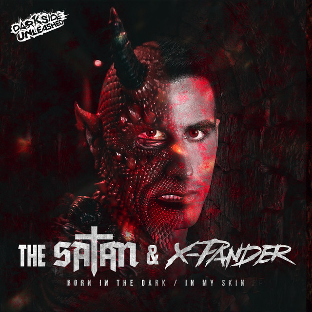 Born In The Dark / In My Skin cover art