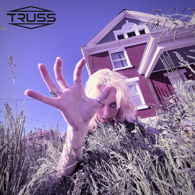 RESET MY HEAD cover art